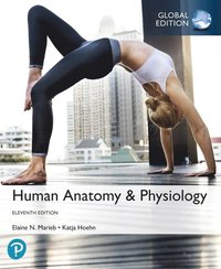 bokomslag Human Anatomy & Physiology, Global Edition
