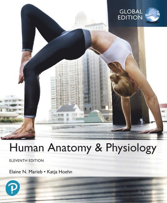 Elaine Marieb, Katja Hoehn - Human Anatomy & Physiology, Global Edition, Häftad