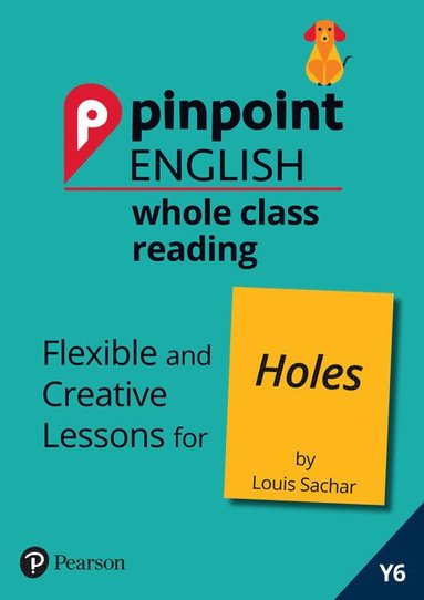 bokomslag Pinpoint English Whole Class Reading Y6: Holes