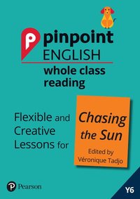 bokomslag Pinpoint English Whole Class Reading Y6: Chasing the Sun - Stories from Africa