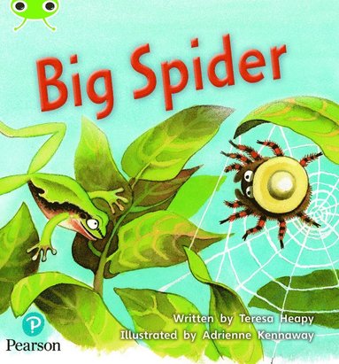 bokomslag Bug Club Phonics - Phase 5 Unit 27: Big Spider