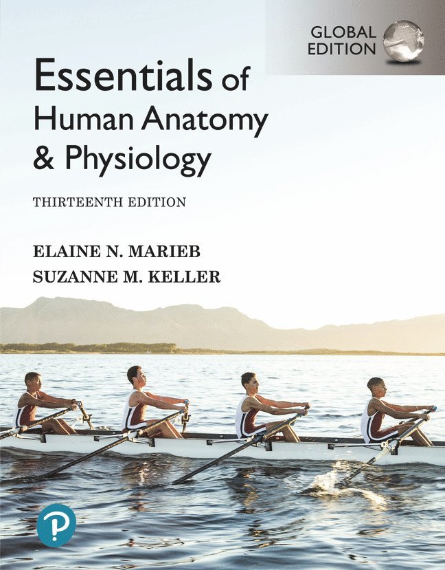 Elaine Marieb, Suzanne Keller - Essentials of Human Anatomy & Physiology, Global Edition, Häftad