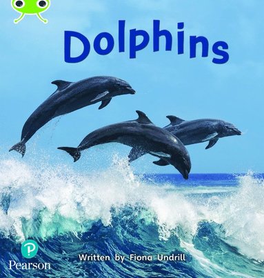 bokomslag Bug Club Phonics - Phase 5 Unit 13: Dolphins
