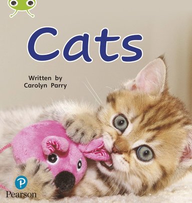 bokomslag Bug Club Phonics - Phase 2 Unit 3: Cats