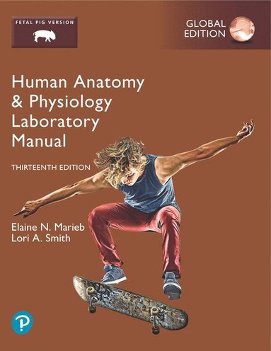 bokomslag Human Anatomy & Physiology Laboratory Manual, Fetal Pig Version, Global Edition