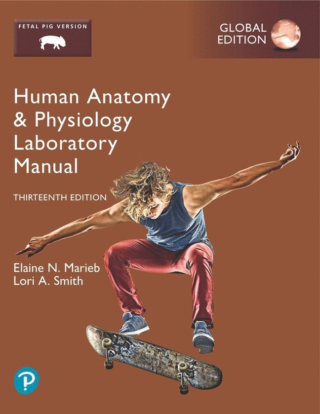 Human Anatomy & Physiology Laboratory Manual, Fetal Pig Version, Global Edition 1