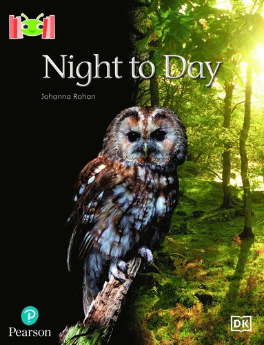 bokomslag Bug Club Reading Corner: Age 4-5: Night to Day