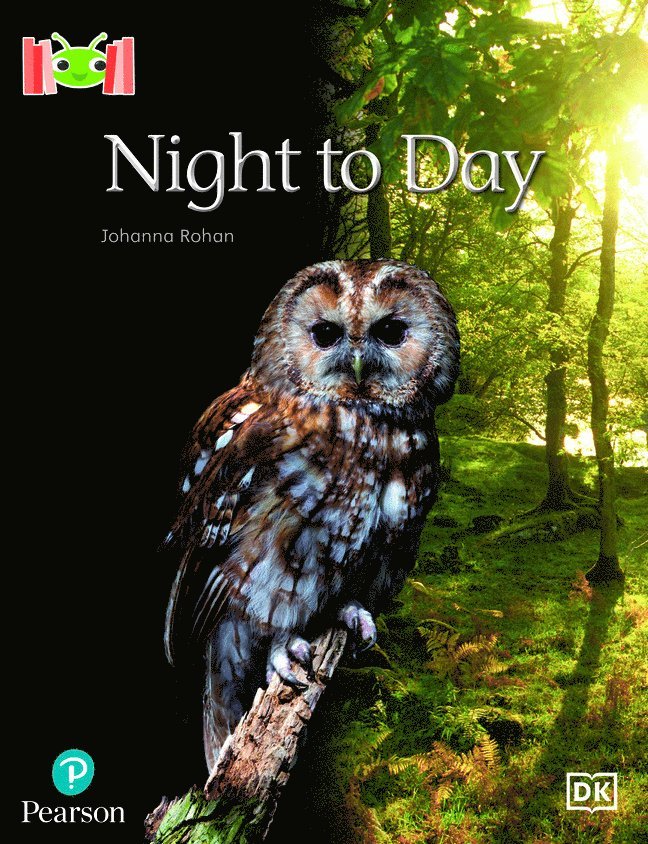 Bug Club Reading Corner: Age 4-5: Night to Day 1