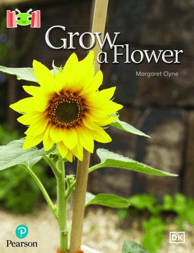 Margaret Clyne - Bug Club Reading Corner: Age 4-7: Grow a Flower, Häftad