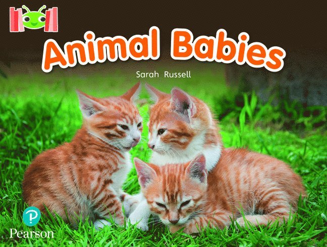 Bug Club Reading Corner: Age 4-7: Animal Babies 1