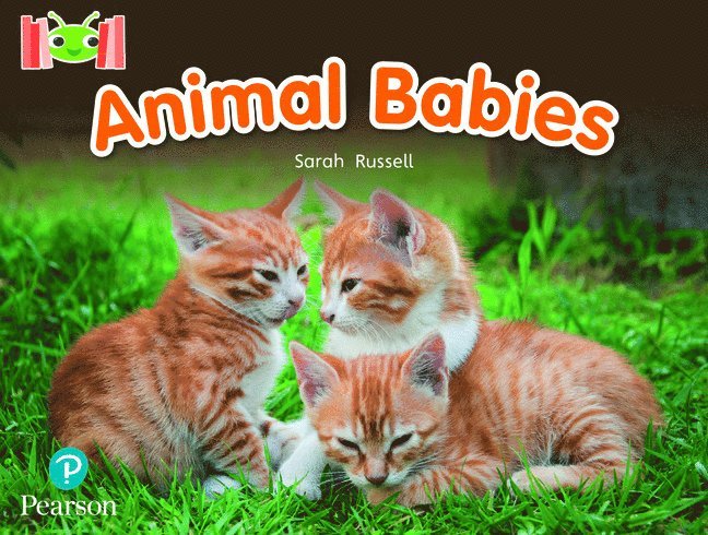 Sarah Russell - Bug Club Reading Corner: Age 4-7: Animal Babies, Häftad