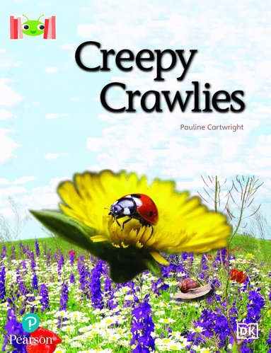 Pauline Cartwright - Bug Club Reading Corner: Age 5-7: Creepy Crawlies, Häftad