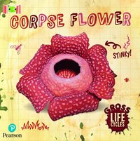 bokomslag Bug Club Reading Corner: Age 5-7: Gross Lifecycles: Corpse Flower
