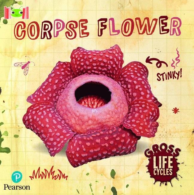 Bug Club Reading Corner: Age 5-7: Gross Lifecycles: Corpse Flower 1