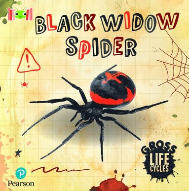William Anthony - Bug Club Reading Corner: Age 5-7: Gross Lifecycles: Black Widow Spider, Häftad