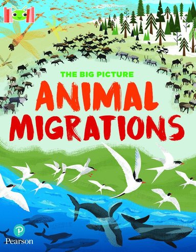 bokomslag Bug Club Reading Corner: Age 7-11: The Big Picture: Animal Migrations