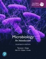 bokomslag Microbiology: An Introduction, Global Edition