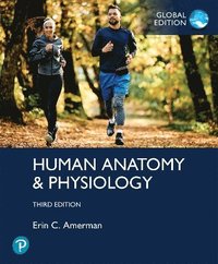 bokomslag Human Anatomy & Physiology, Global Edition