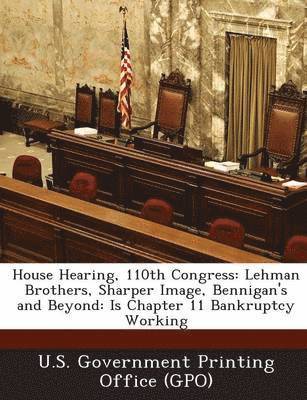 bokomslag House Hearing, 110th Congress