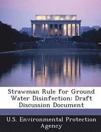 bokomslag Strawman Rule for Ground Water Disinfection