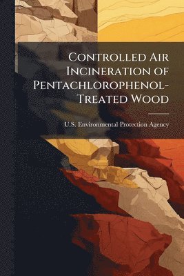 Controlled Air Incineration of Pentachlorophenol-Treated Wood, Häftad