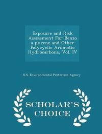 bokomslag Exposure and Risk Assessment for Benzo a Pyrene and Other Polycyclic Aromatic Hydrocarbons, Vol. IV - Scholar's Choice Edition