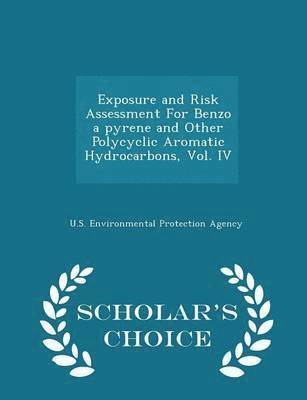 Exposure and Risk Assessment for Benzo a Pyrene and Other Polycyclic Aromatic Hydrocarbons, Vol. IV - Scholar's Choice Edition 1