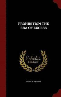 bokomslag Prohibition the Era of Excess