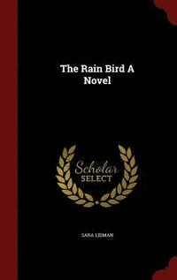 bokomslag The Rain Bird a Novel