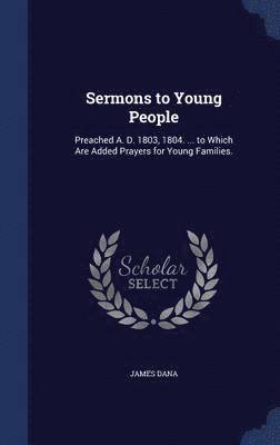 bokomslag Sermons to Young People