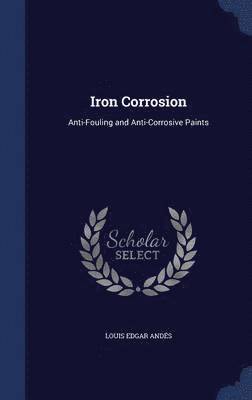 bokomslag Iron Corrosion