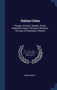 bokomslag Italian Cities