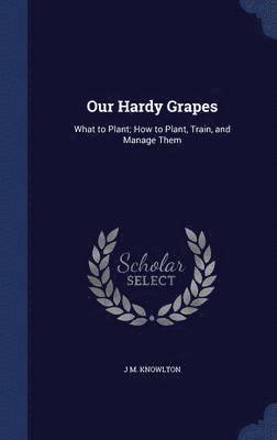 Our Hardy Grapes 1