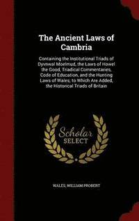 bokomslag The Ancient Laws of Cambria