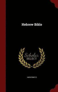 bokomslag Hebrew Bible