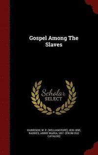bokomslag Gospel Among The Slaves