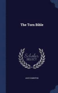 bokomslag The Torn Bible