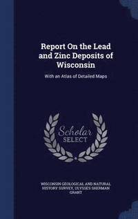 bokomslag Report On the Lead and Zinc Deposits of Wisconsin