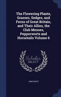 bokomslag The Flowering Plants, Grasses, Sedges, and Ferns of Great Britain, and Their Allies, the Club Mosses, Pepperworts and Horsetails Volume 6