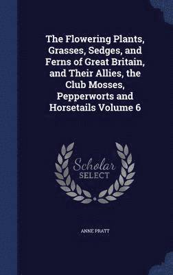 The Flowering Plants, Grasses, Sedges, and Ferns of Great Britain, and Their Allies, the Club Mosses, Pepperworts and Horsetails Volume 6 1