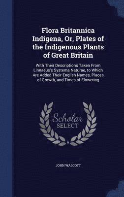 bokomslag Flora Britannica Indigena, Or, Plates of the Indigenous Plants of Great Britain