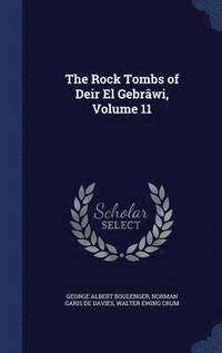 bokomslag The Rock Tombs of Deir El Gebrwi, Volume 11
