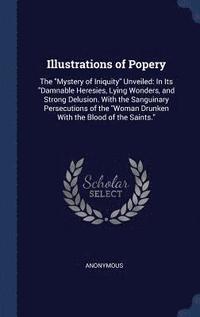 bokomslag Illustrations of Popery