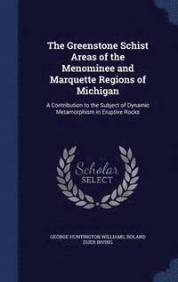 bokomslag The Greenstone Schist Areas of the Menominee and Marquette Regions of Michigan