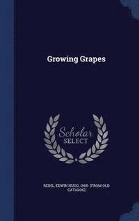 bokomslag Growing Grapes