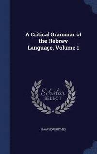 bokomslag A Critical Grammar of the Hebrew Language, Volume 1