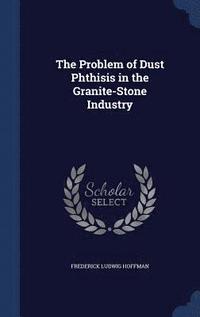 bokomslag The Problem of Dust Phthisis in the Granite-Stone Industry