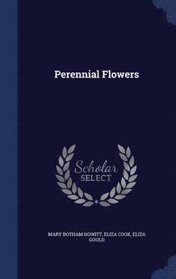 Perennial Flowers 1