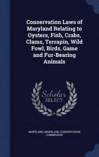 bokomslag Conservation Laws of Maryland Relating to Oysters, Fish, Crabs, Clams, Terrapin, Wild Fowl, Birds, Game and Fur-Bearing Animals