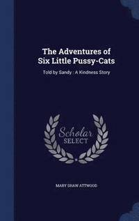 bokomslag The Adventures of Six Little Pussy-Cats